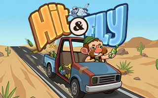 Hit & Fly